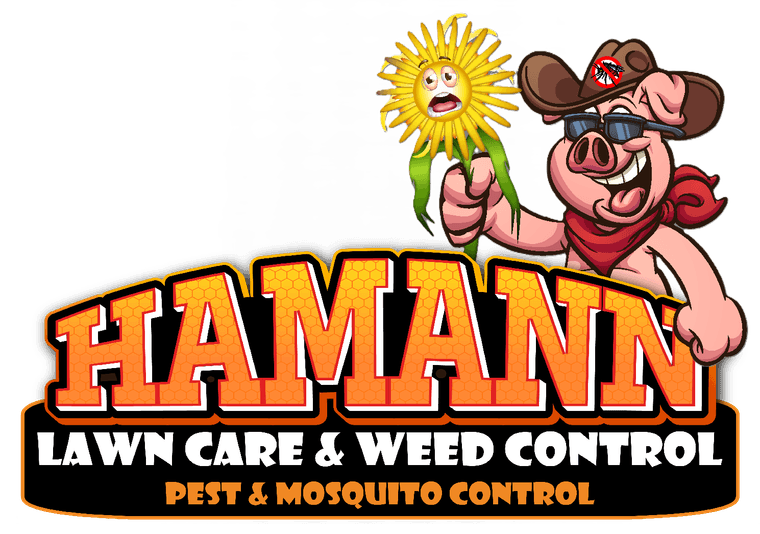 Hamann Lawn Care & Weed Control